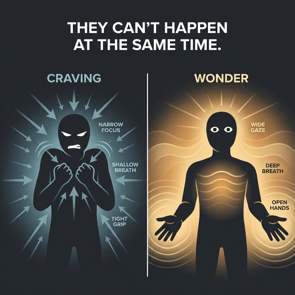 Craving and wonder cannot happen at the same time